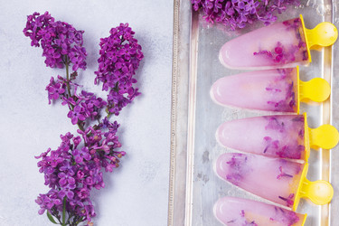 Similar image 13216545