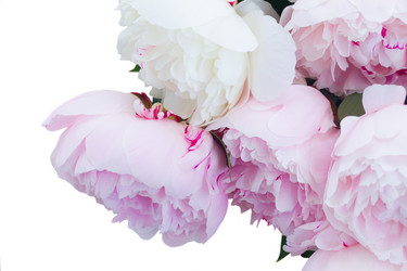 Similar image 13215512