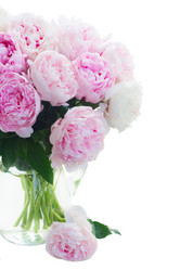 Similar image 13215513