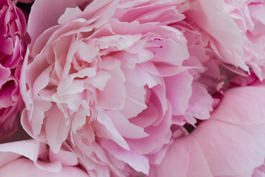 Similar image 13215589