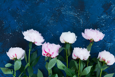 Similar image 13216007