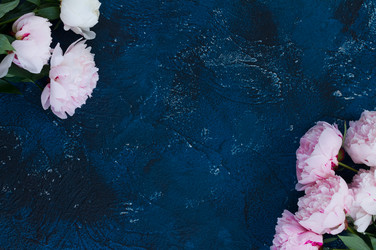 Similar image 13216029