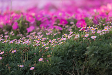 Similar image 13237316