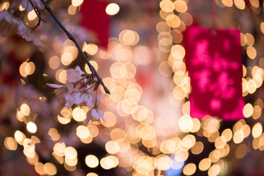 Similar image 13239106