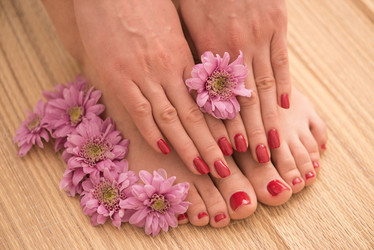 Similar image 13237747