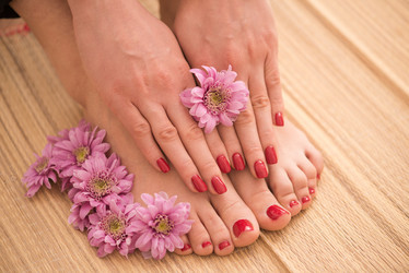 Similar image 13238430