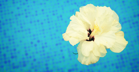 Similar image 13215968