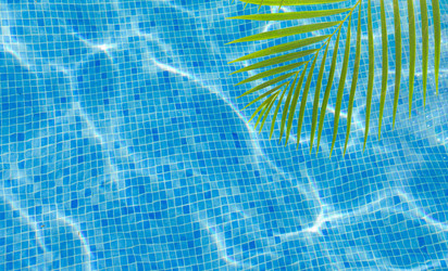 Similar image 13216032