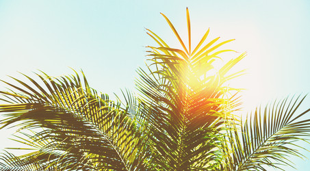 Similar image 13216088