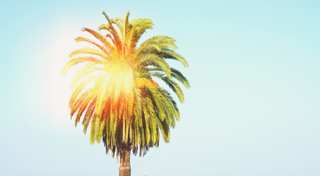 Similar image 13216089