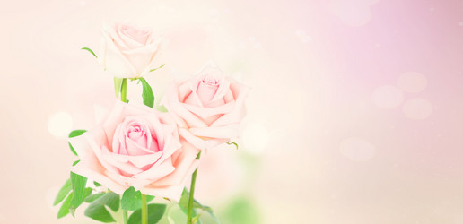 Similar image 13216162