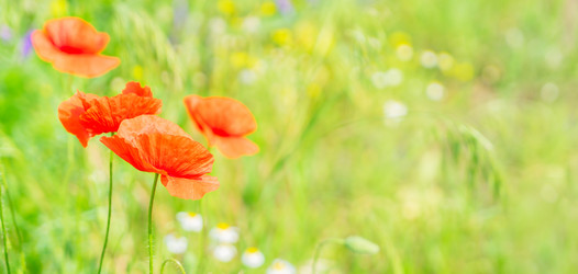 Similar image 13216186