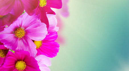 Similar image 13216768