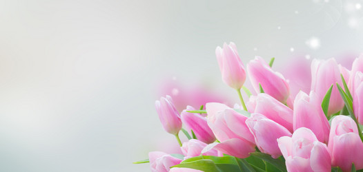 Similar image 13216263