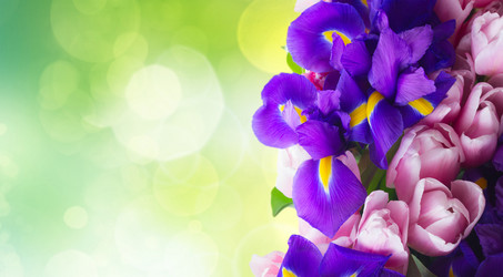 Similar image 13216265