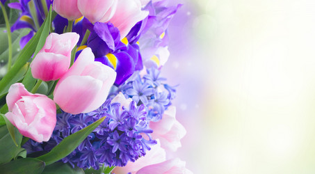 Similar image 13216289