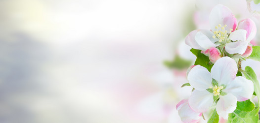 Similar image 13216308