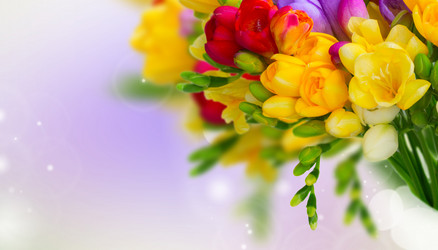 Similar image 13216801