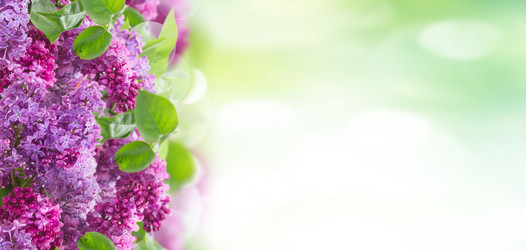 Similar image 13216866