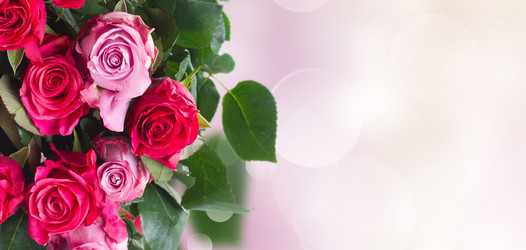 Similar image 13216867