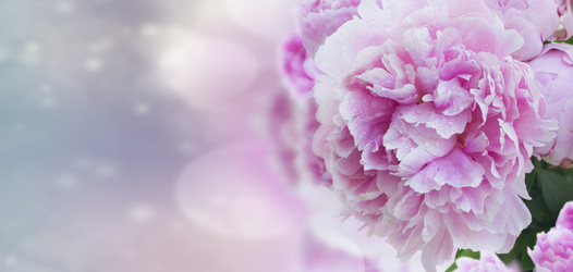 Similar image 13216868