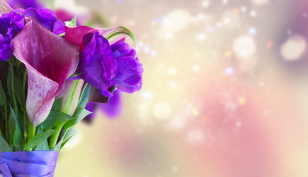 Similar image 13216886