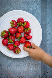 Similar image 13209644