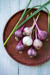 Similar image 13209646