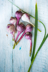 Similar image 13208588