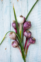 Similar image 13208589