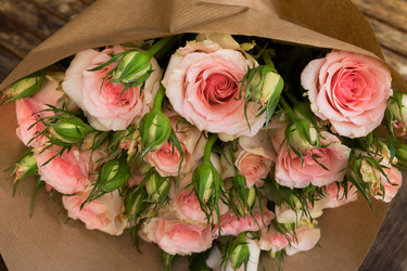 Similar image 13216012