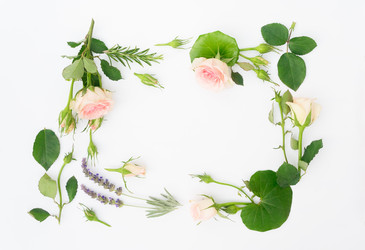 Similar image 13216066