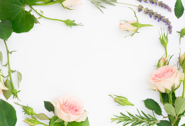 Similar image 13216090