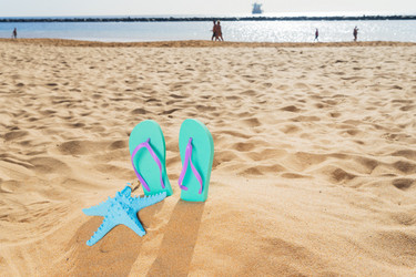 Similar image 13216146