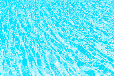 Similar image 13216206