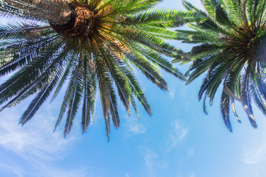 Similar image 13216250