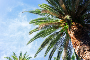 Similar image 13216341