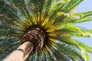 Similar image 13216402