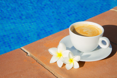 Similar image 13216500