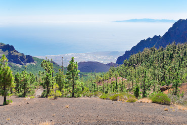 Similar image 13215514