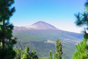 Similar image 13215515