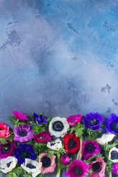 Similar image 13215631