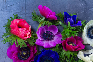 Similar image 13215632