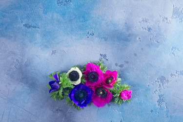 Similar image 13215650