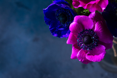 Similar image 13215651