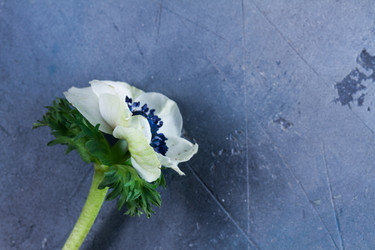 Similar image 13215701