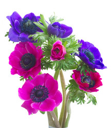 Similar image 13216343