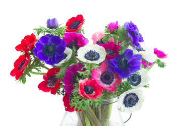 Similar image 13216407