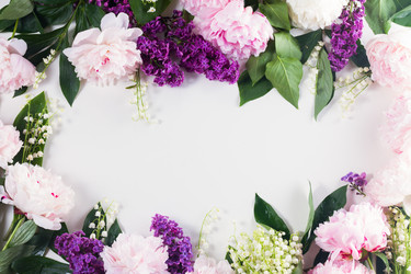 Similar image 13216294