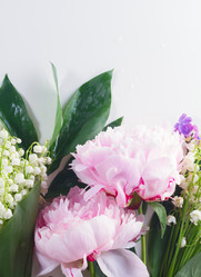 Similar image 13216315